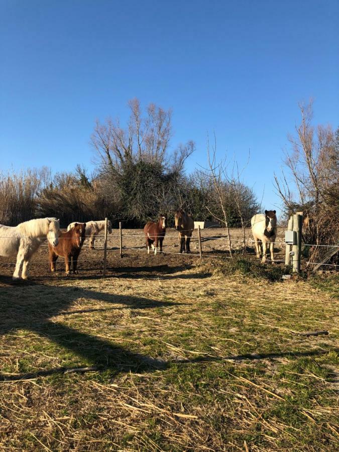 Appartement Les Hameaux Arlés Exterior foto