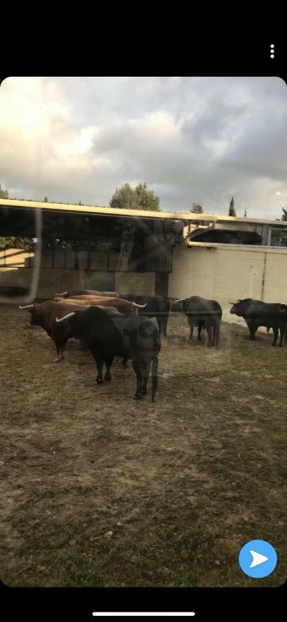Appartement Les Hameaux Arlés Exterior foto